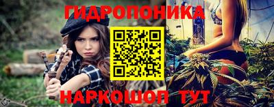 прущие грибы Заводоуковск
