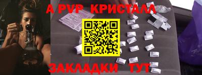 прущие грибы Заводоуковск