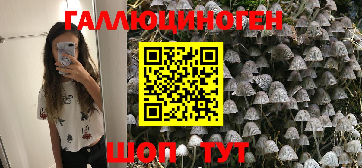 Галлюциногенные грибы мицелий  наркошоп  Лосино-Петровский  Вход с VPN  Псилоцибиновые грибы GOLDEN TEACHER 