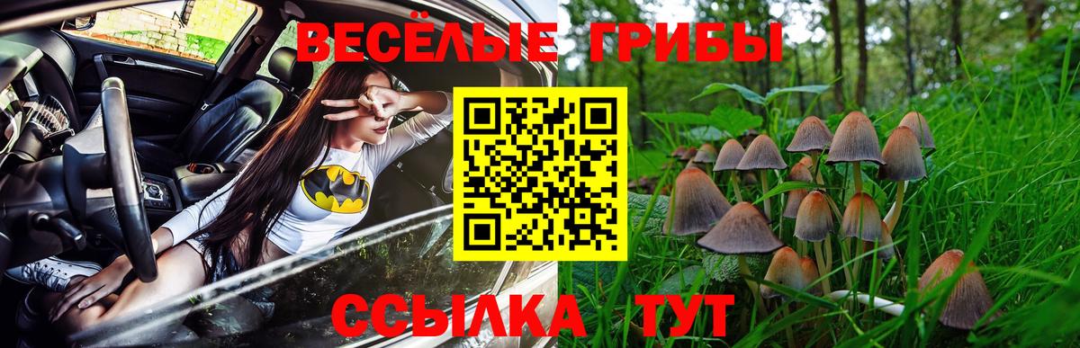 Псилоцибиновые грибы мухоморы Лосино-Петровский